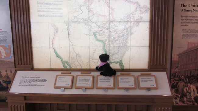 stuffed pup on map display