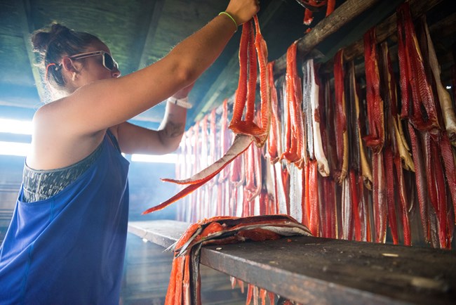 woman hangs salmon fillets to dry at a fish camp