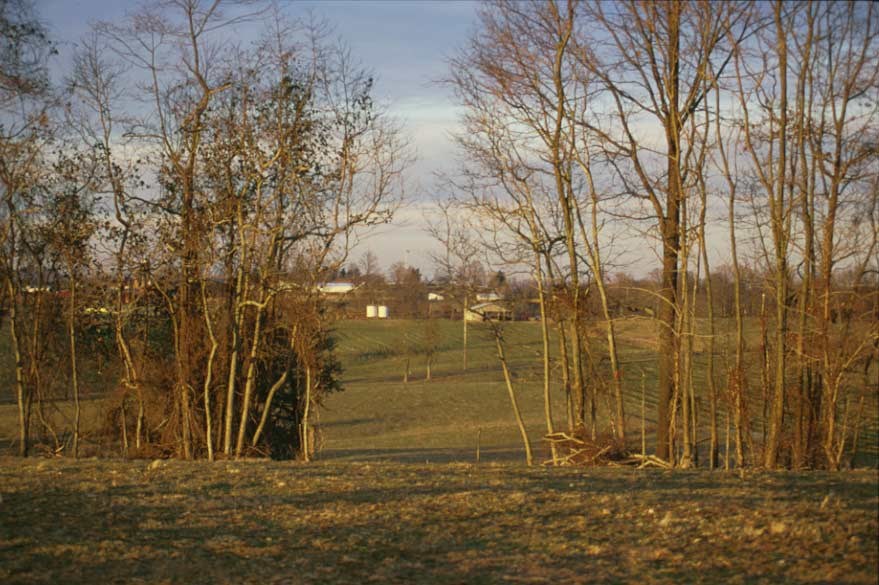 Photo of meadow and fields.