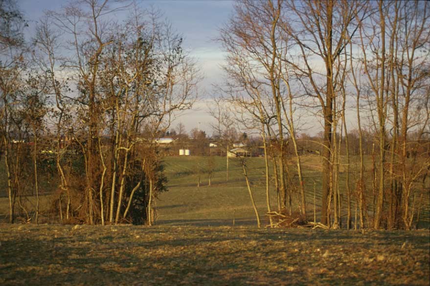 Photo of meadow and fields. Photo of meadow and fields.