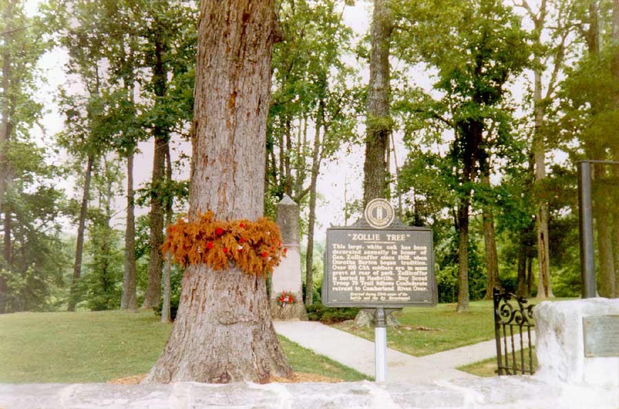 Tree with a historical sign.