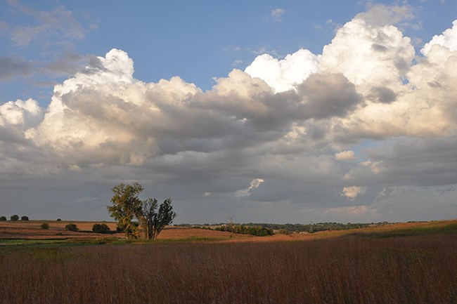 prairie