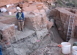 Excavation site with single worker, buckets and ladder to the left.