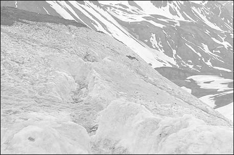 B&W image of snowfields