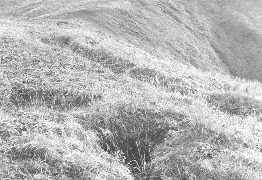 Photo of a grassy hill.