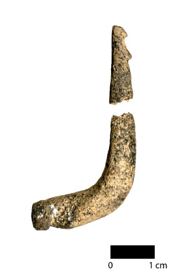 an ancient bone hook used for fishing.