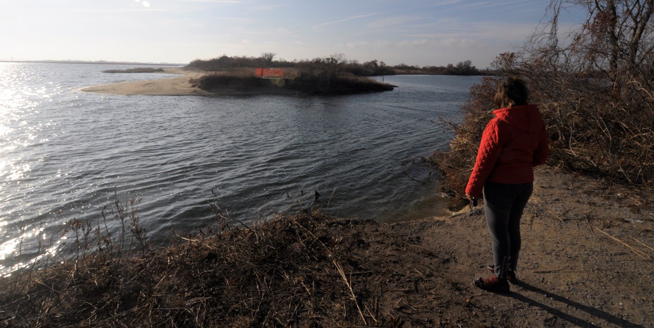 a woman stands by a breach along a beach