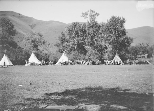 black and white photo of tents