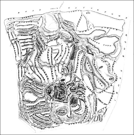 Aerial map of Mount Auburn Cemetery.