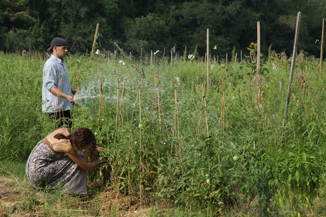 A man and a woman water and maintain the community garden in Rock Creek Park A man and a woman water and maintain the community garden in Rock Creek Park