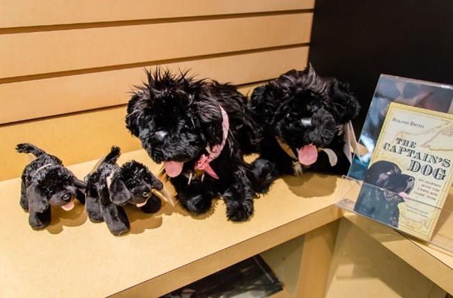 8SSP toy dogs on shelf