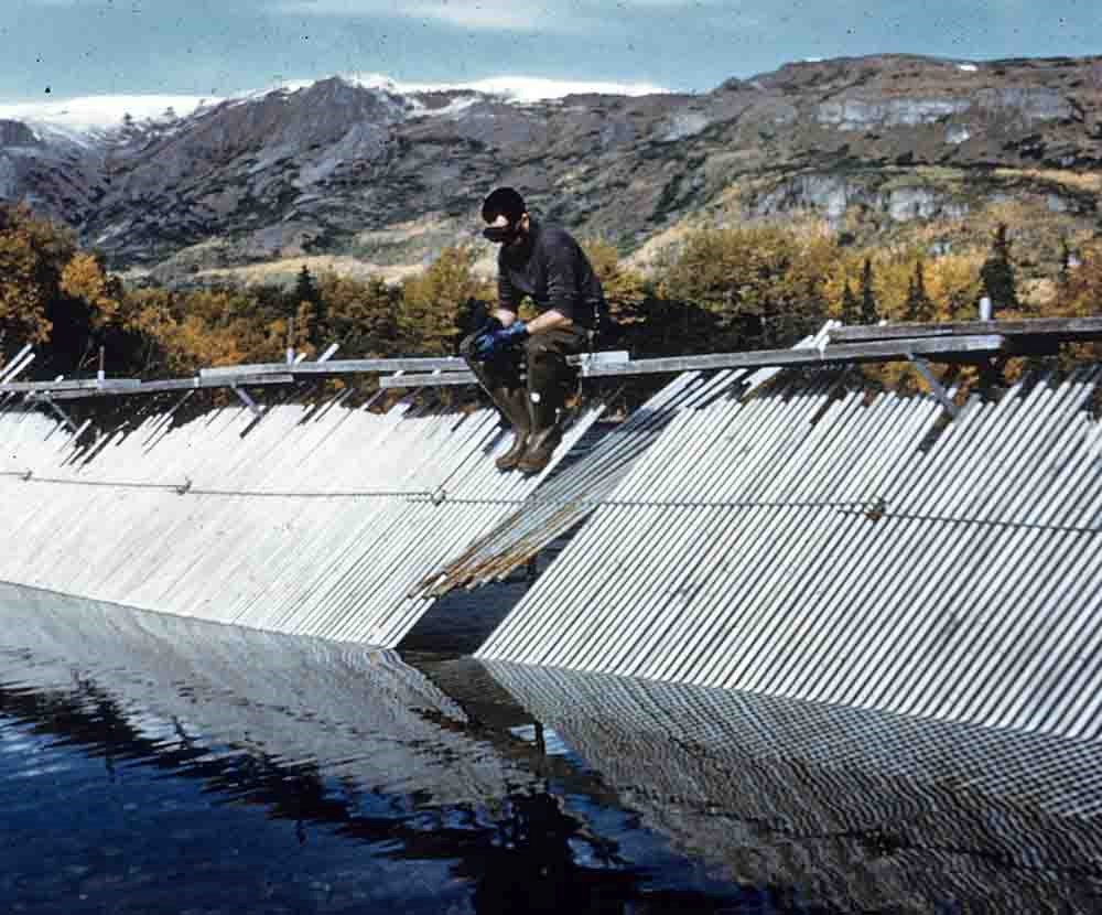 A man sits on top of a fish weir, looking into the river, counting fish.