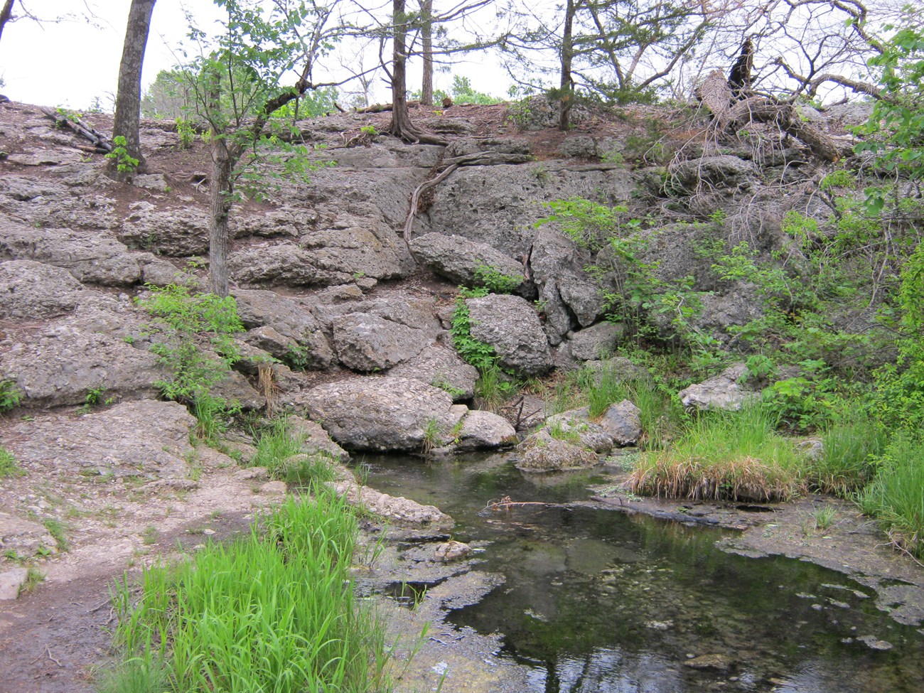 spring on rocky hillside