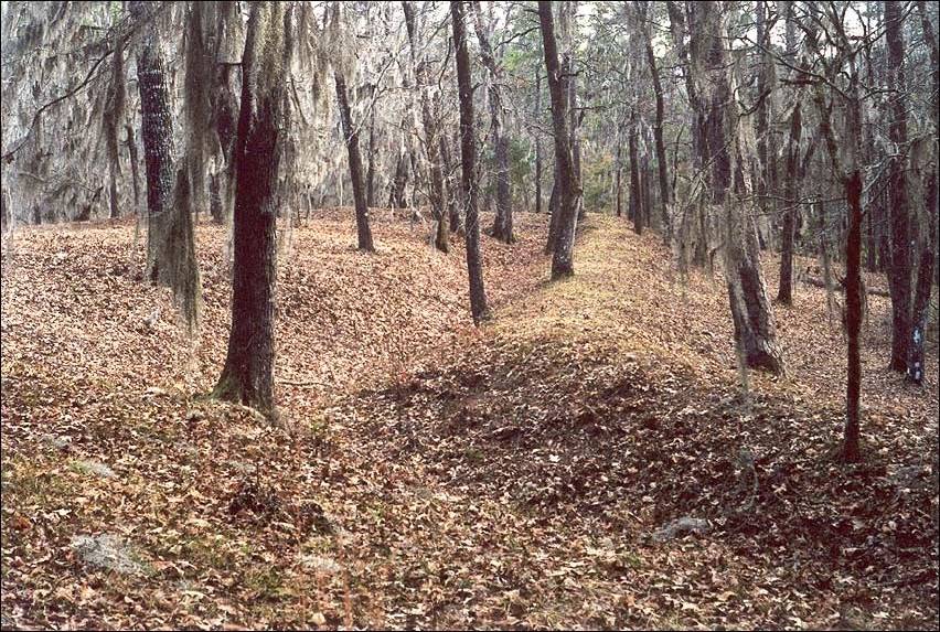 Forested area with hills.