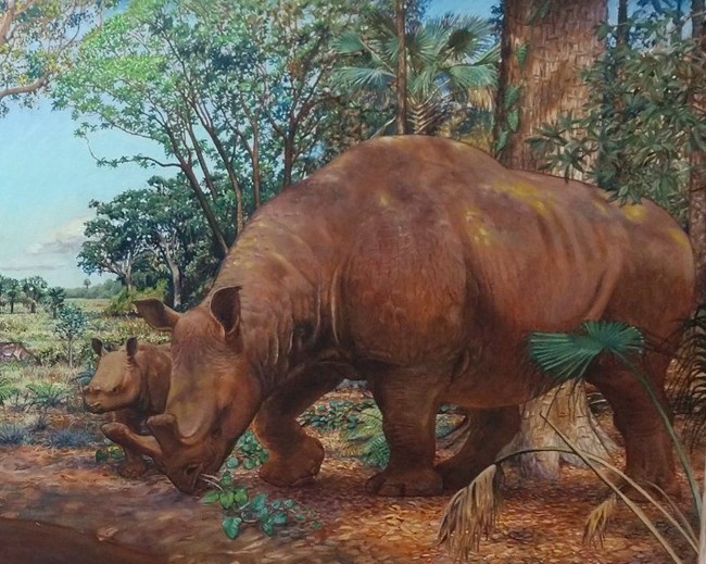 a large creature looking like a rhino with a pronged horn on its nose meanders through a subtropical forest with one of its offspring