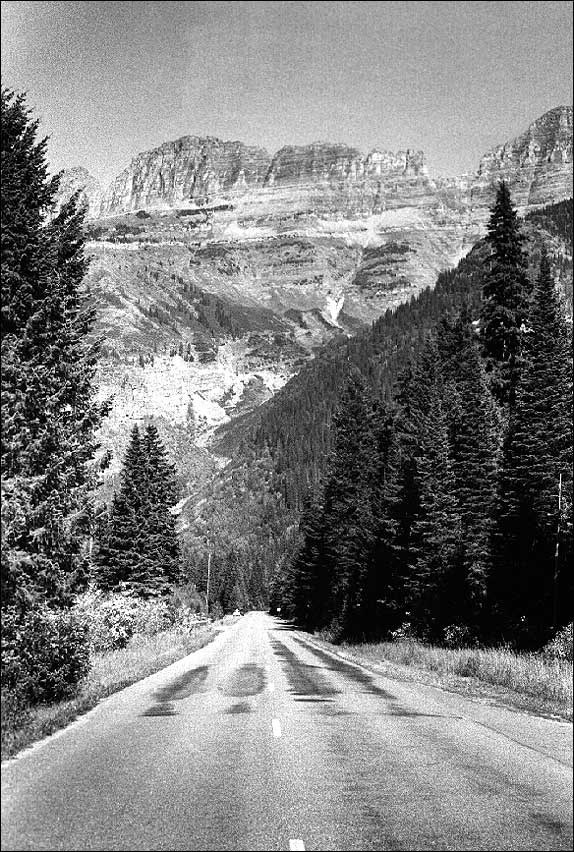 Roadway leading to tall mountain with pine trees in foreground. (National Park Service, Ethan Carr, photographer)