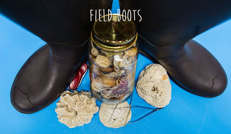 deskdigs-nuesslyboots wading boots, coral, and sand dollars with field boots written atop photo