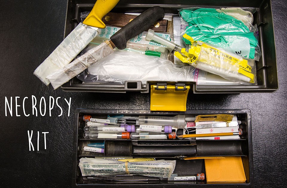 black tool box open and filled with various biopsy instruments like tubes, swabs, and hatchets