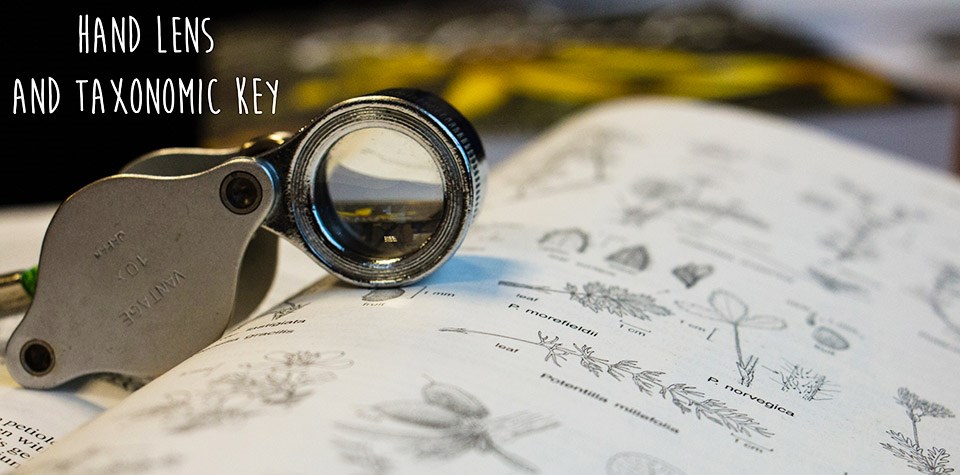a small magnifying glass sitting on top of an open book with plant illustrations