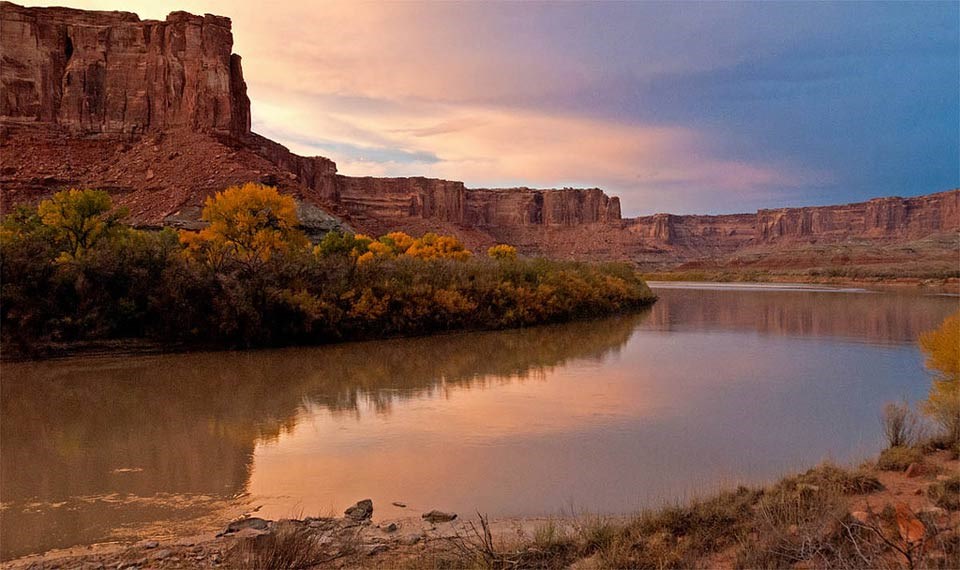 cottonwood trees along riverbank of Green River, cliff in background