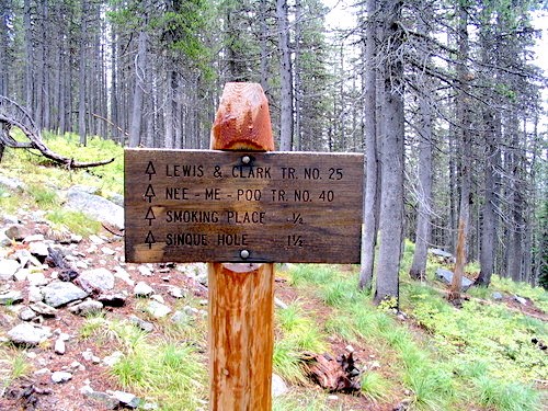 967 forested hiking trail