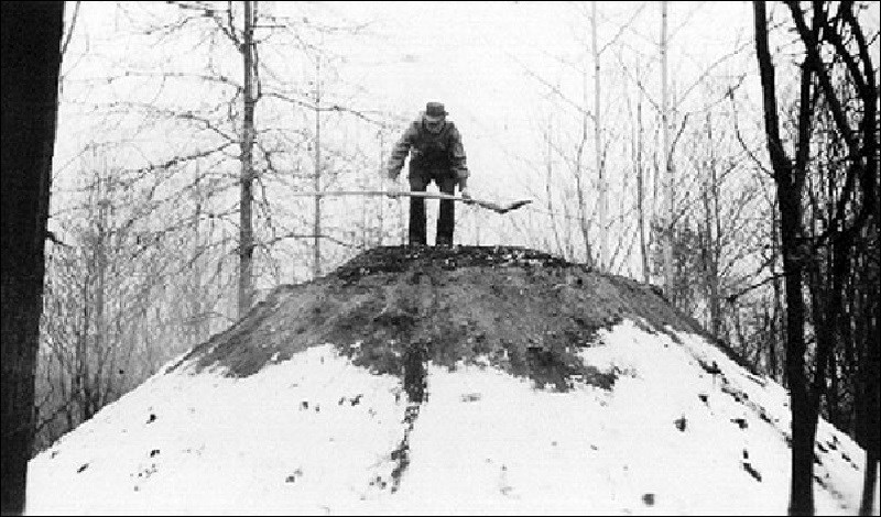 Man standing on a mound of sediment holding a shovel.