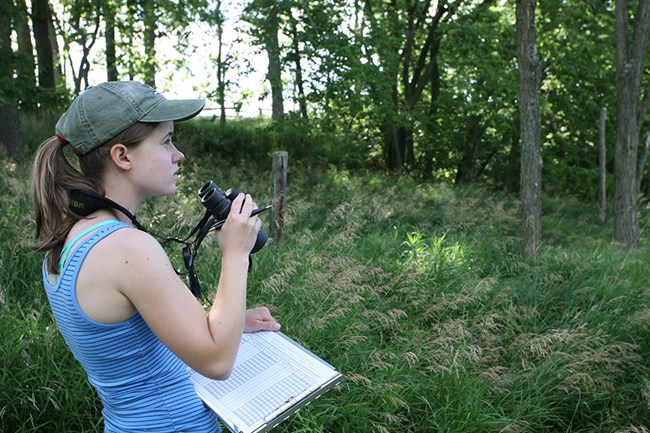 Bird monitoring A woman with binoculars and clip board looks into the distance