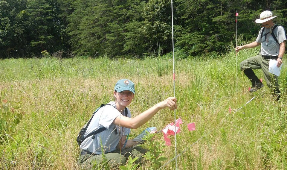 A woman and man measure a line in a meadow.
