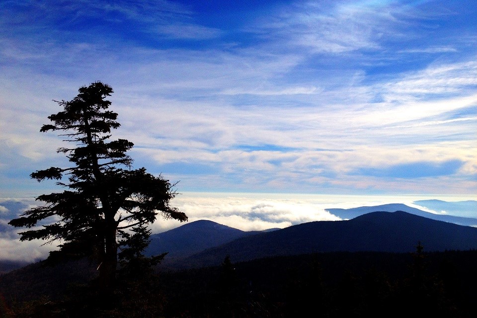 APPA View from Killington Peak (Daniel Bruffey) Dramatic clouds over a dark-lit mountainous landscape and tree