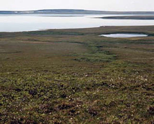 Green, low-growing tundra next to large bodies of grey-blue water.