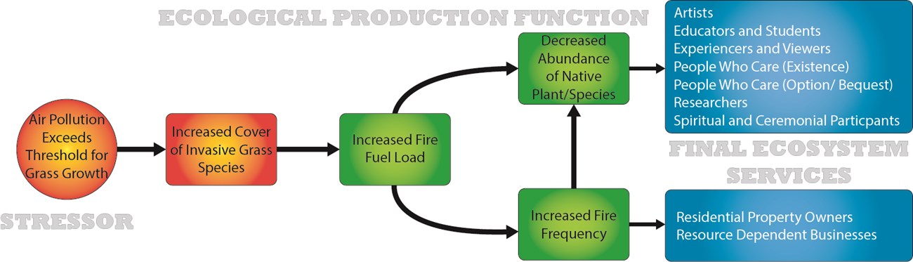 graphic depiction of STEPS