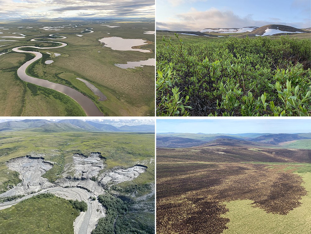 A four-part image of landscape features that contribute to greening or browning.