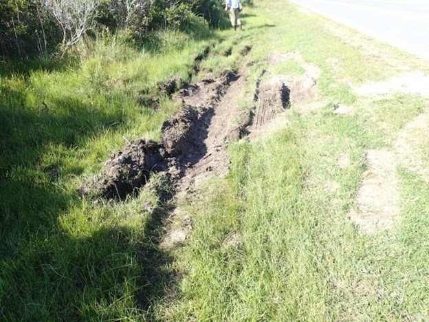 Tire treads Dirt ripped up on a grassy area in the shape of tire treads.