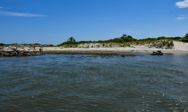 A rocky shoreline with water in the forefront and greenery behind the sand.