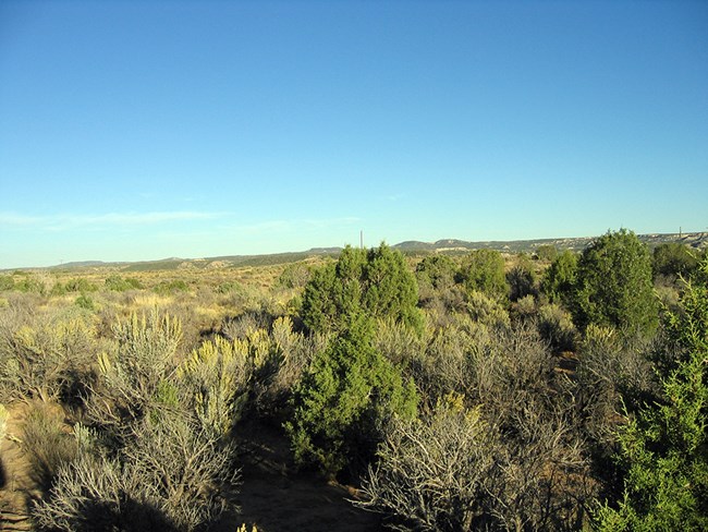 Landscape with shrubs in the foreground and hills in the background under a blue sky with a few scattered clouds.