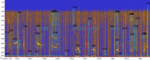 Spectrogram shows presence of biological sounds and human-associated noise in underwater subsamples gathered in the National Park of American Samoa.