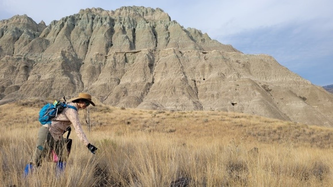 Bipartisan Infrastructure Law funding ensures long-term success of native plants in Western U.S. national parks (U.S. National Park Service)