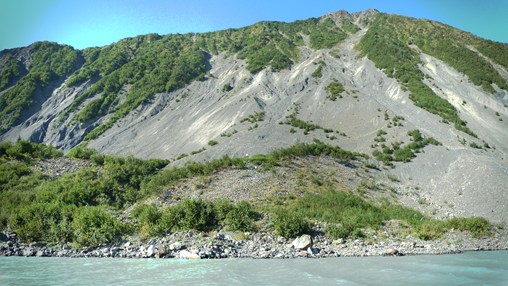 Active slope Bear Glacier Steep slope with minimal vegetation and loose rock.