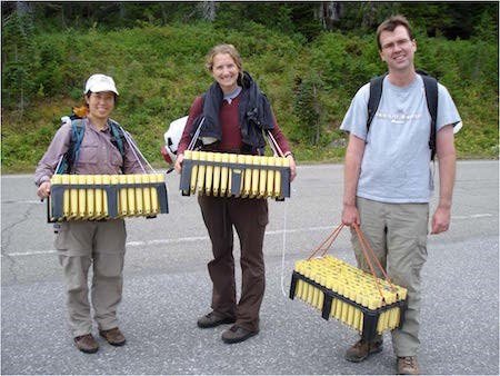 Three people hold large racks containing many rows of seedlings in planting tubes.