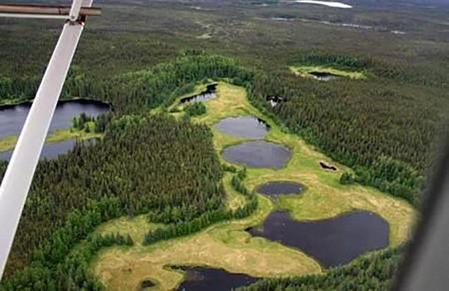 Alaska_boreal_forest_lakes_NPS Aerial view of a string of lakes in the boreal forest, showing signs of shrinking.