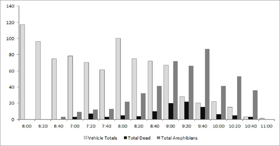 Amphibian Graph Graph of Amphibians killed on roadways at Cuyahoga Valley National Park