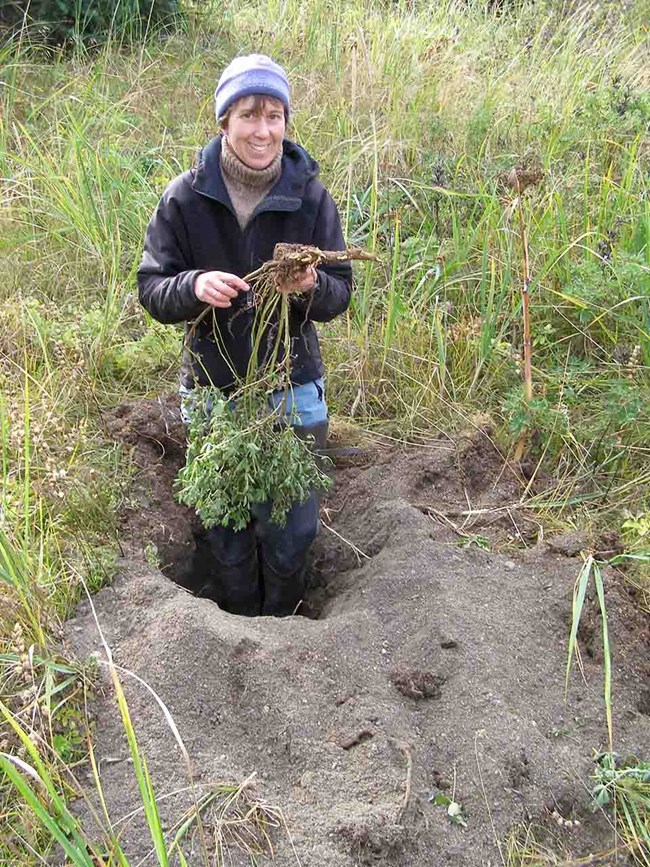 Amy in a bear-foraging hole