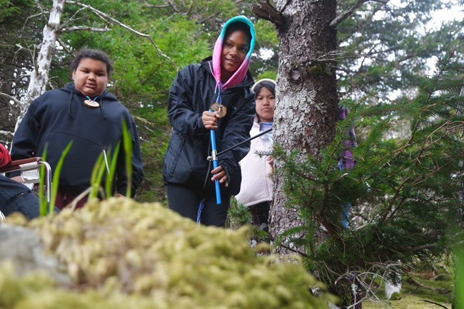 kids standing in a moss-covered forest