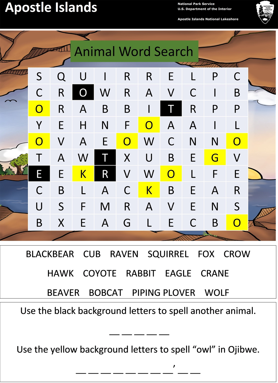 Photo of the word search activity sheet.