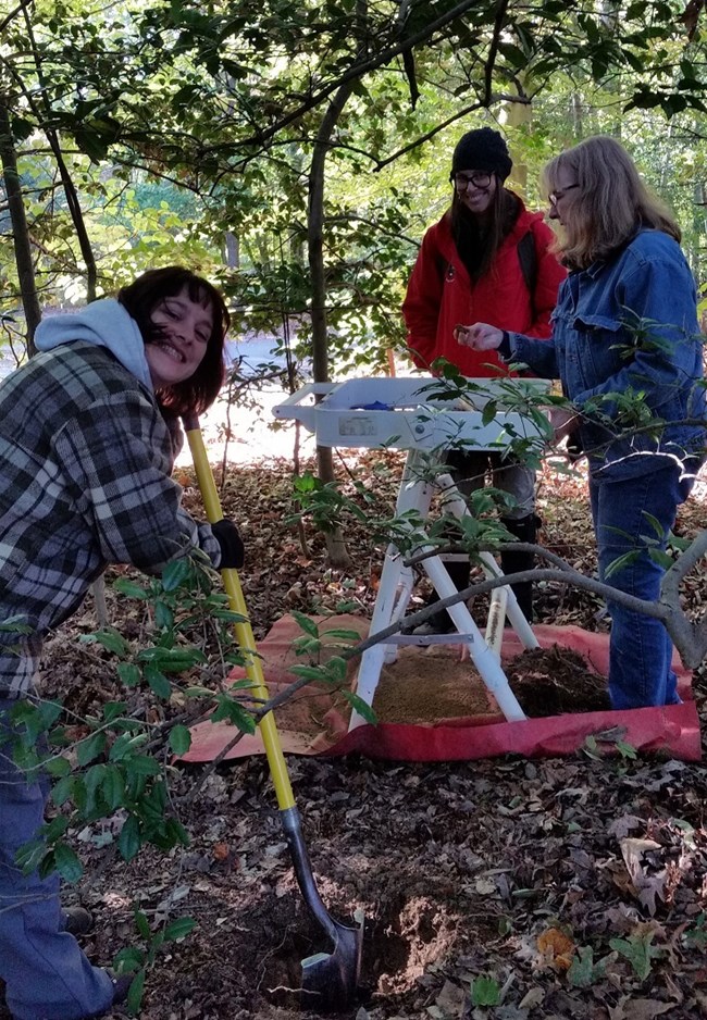 Archeologists dig and screen in a park