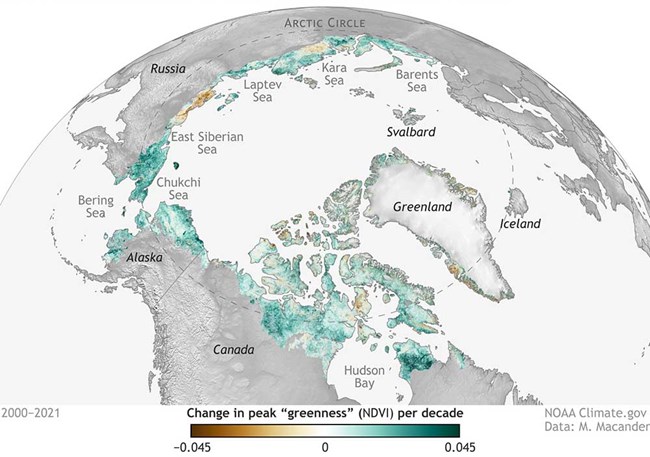 Arctic-Report-Card-2021_tundra-greenness_2000px_web Polar projection of circumpolar greenness.