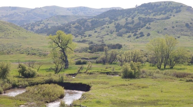 Landscape with river, tree in foreground, hills in background