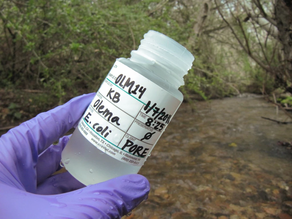 Water quality autoclave bottle A freshly collected E. coli sample in autoclave bottle from the Olema Creek watershed.