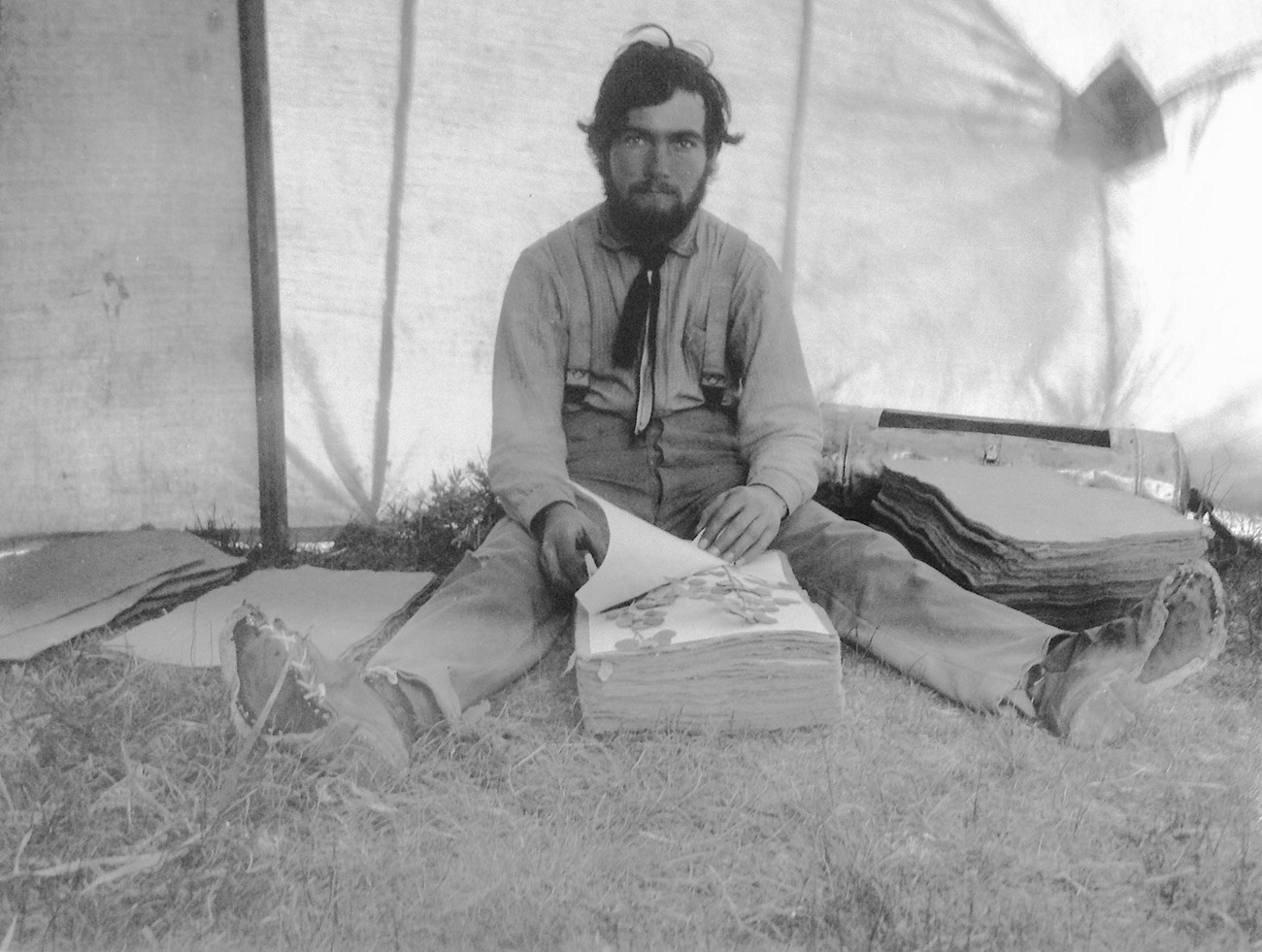 Leslie Goodding sits between stacks of blotters, checking specimens. The photo was taken near the end of the expedition, by which time he had worn the soles off his boots.