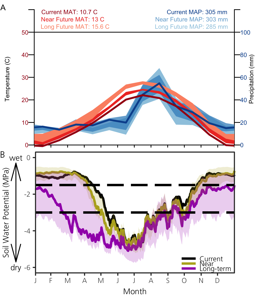 Two panels showing climate and soil moisture patterns throughout an average year.